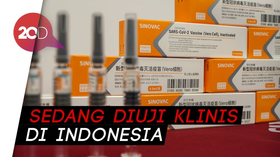 Vaksin Sinovac Disebut Sudah Selesai Uji Klinis Tahap Akhir