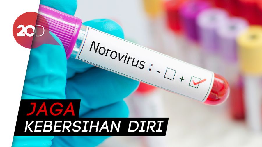 Norovirus Juga Ada di Indonesia, Begini Cara Cegah Penularannya