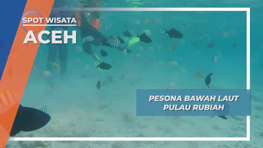 Pulau Rubiah Aceh , Lukisan Bawah Laut Terindah 