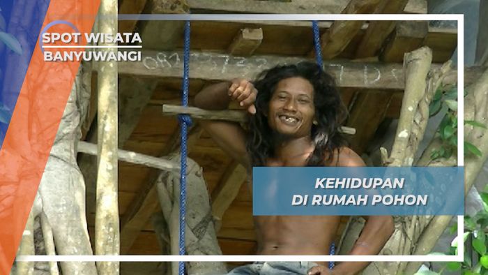 Dadang, Tarzan Modern yang Tinggal di Rumah Pohon Banyuwangi