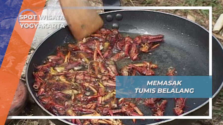 Tumis Belalang dan resep rahasia ala Gunung Kidul Yogyakarta