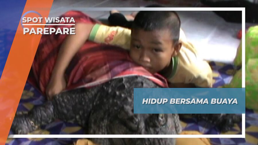 Hidup Bersama Buaya, Parepare
