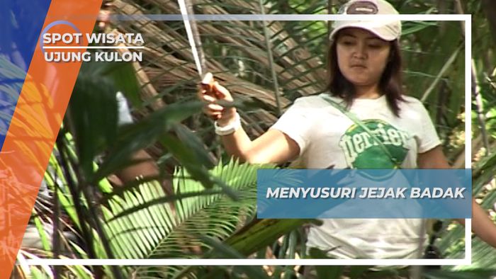 Menyusuri Jejak Badak, Ujung Kulon