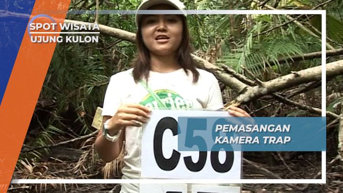 Pemasangan Kamera Trap, Ujung Kulon