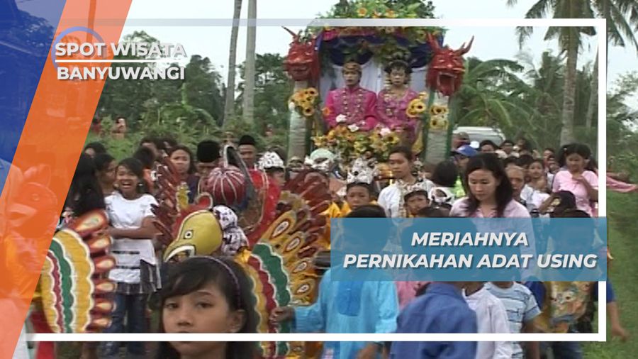 Meriahnya Pernikahan Adat Using, Banyuwangi