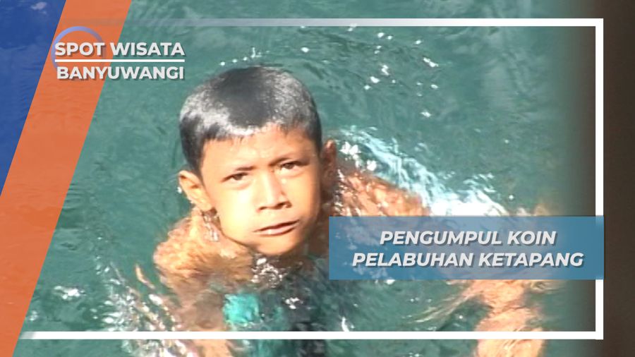 Pengumpul Koin Pelabuhan Ketapang, Banyuwangi