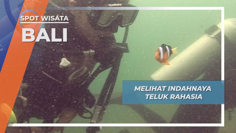 Secret Bay, Surga Populasi Biota Bawah Laut Di Bali Barat