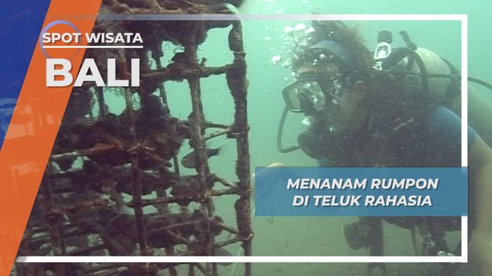 Rumpon Secret Bay Bali, Surganya Frogfish Si Primadona Biota Terumbu Karang