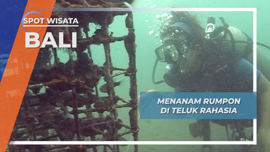 Rumpon Secret Bay Bali, Surganya Frogfish Si Primadona Biota Terumbu Karang