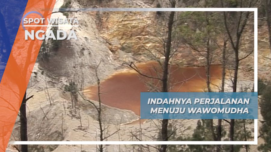 Perjalanan Panjang Menuju Danau Vulkanik Wawo Muda Ngada Nusa Tenggara Timur