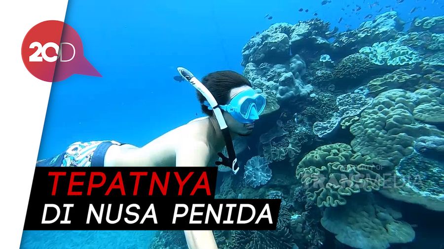 My Trip My Adventure: Snorkeling di Crystal Bay Bali