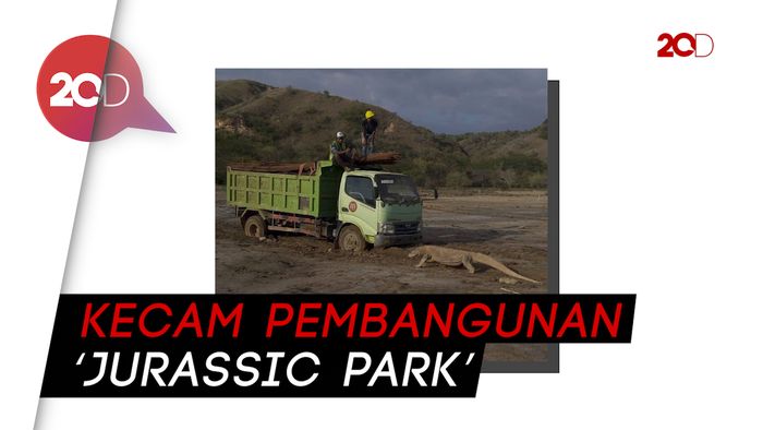Viral Foto Komodo vs Truk Proyek, Netizen Gaungkan #SaveKomodo