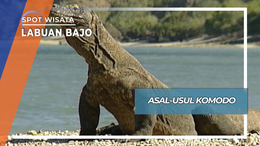 Komodo, Cerita Rakyat Anak Kembar Labuan Bajo