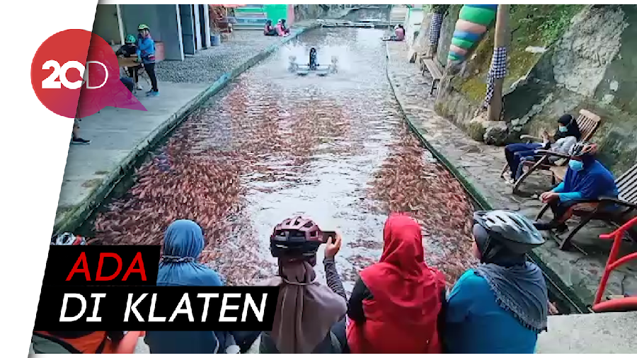 Water Gong, Ketika Sungai Kotor Disulap Jadi Wisata Penuh Ikan