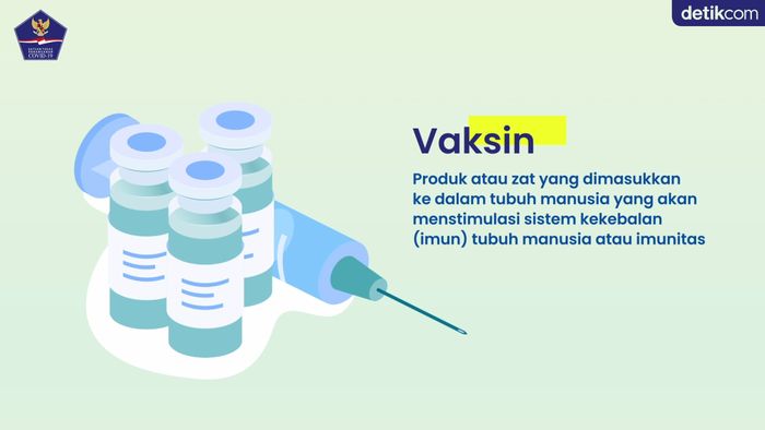 Apa Itu Vaksin, Vaksinasi, Imunisasi dan Imunitas?