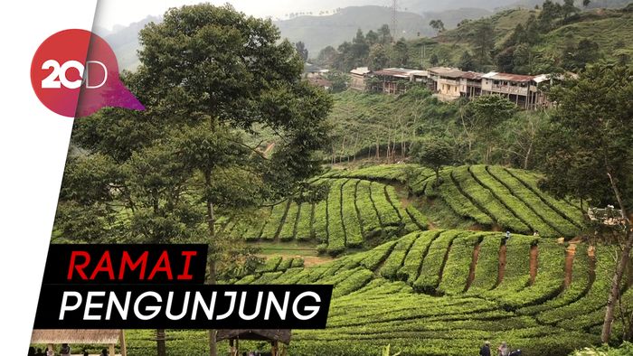 Suasana Puncak Bogor Jelang Libur Panjang