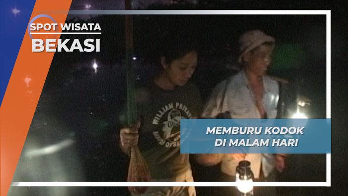 Berburu Kodok, Kegiatan Malam Hari yang Penuh Strategi