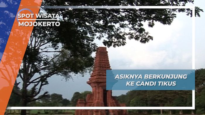Candi Tikus, Ditemukan Karena Keberadaan Sarang Tikus di Desa Temon Mojokerto