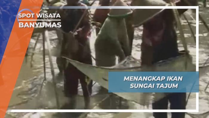 Menangkap Ikan Sungai Tajum Banyumas