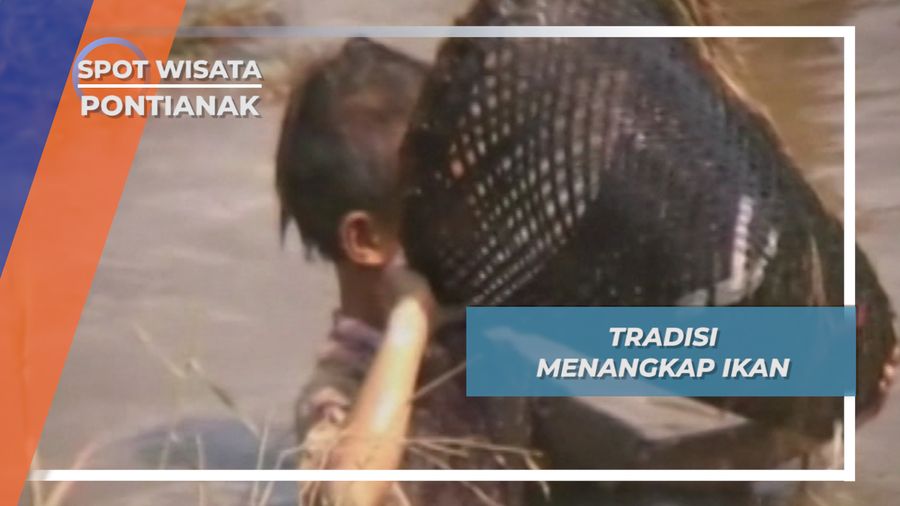 Menangkap Ikan Dusun Mungguk Lumut Pontianak