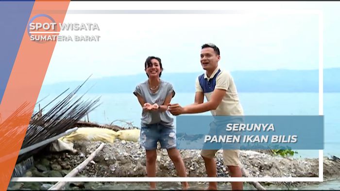 Menangkap Ikan Bilis Danau Singkarak Sumatera Barat