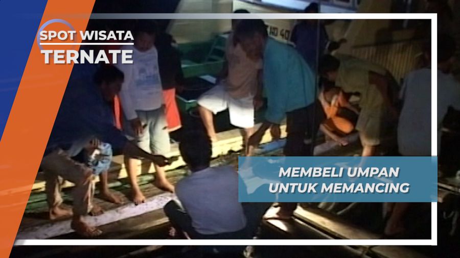 Umpan Khusus Untuk Memancing Ikan Cakalang di Perairan Ternate