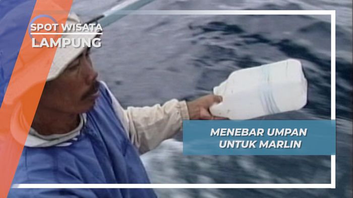Memasang Umpan Ikan Marlin, Spesialisasi Para Nelayan Krui, Lampung