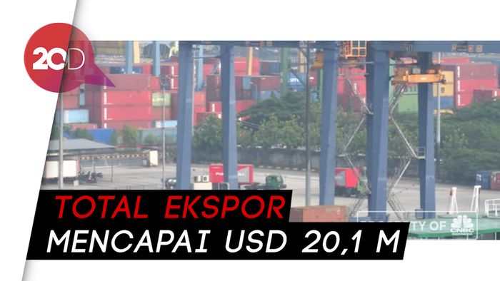 Kabar Baik! Ekspor RI ke AS Naik 10,6% Saat Pandemi