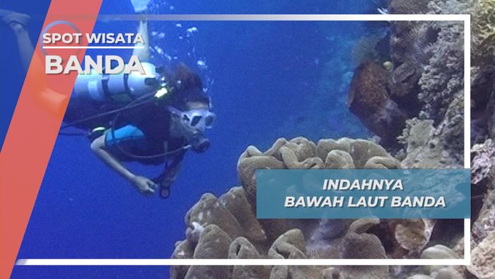 Surga Bawah Air Ada di Dasar Laut Banda