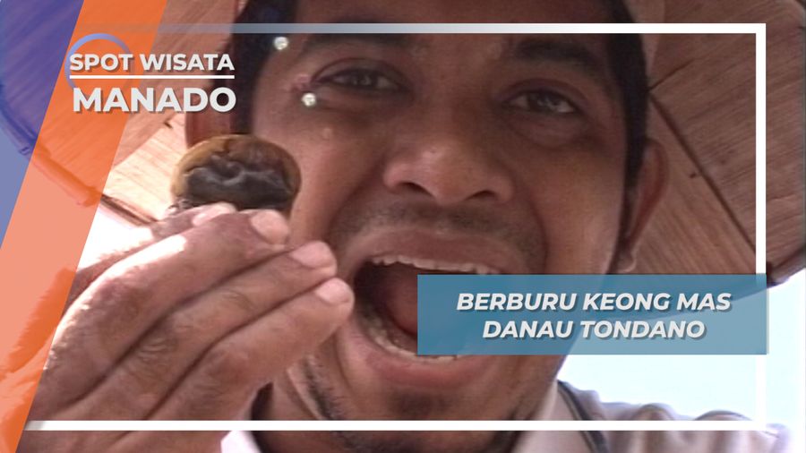 Berburu Keong Mas Danau Tondano, Manado