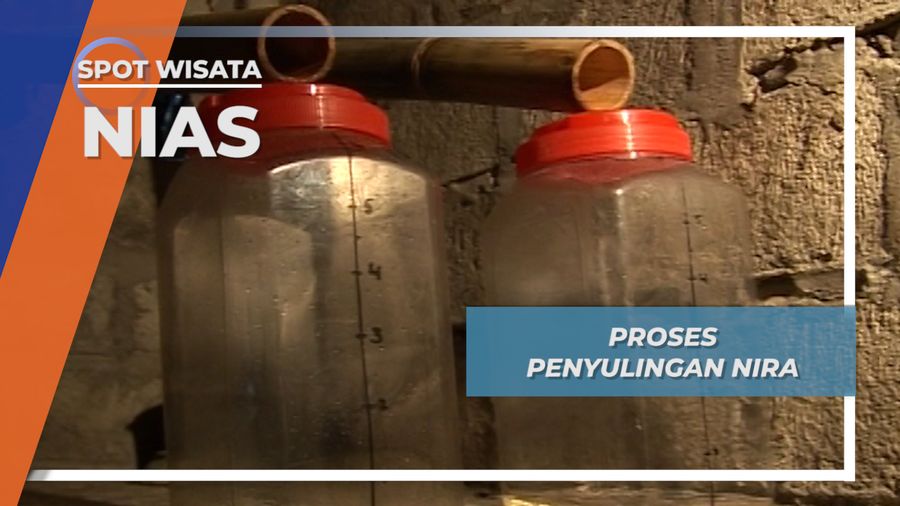 Penyulingan Nira, Mendapatkan Tuo Nifaro, Tuak ala Nias