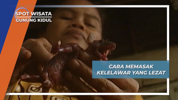 Cara Memasak Kelelawar yang Lezat, Gunung Kidul