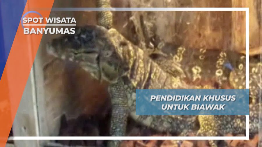 Sekolah Biawak, Tempat Mendidik Para Biawak Banyumas