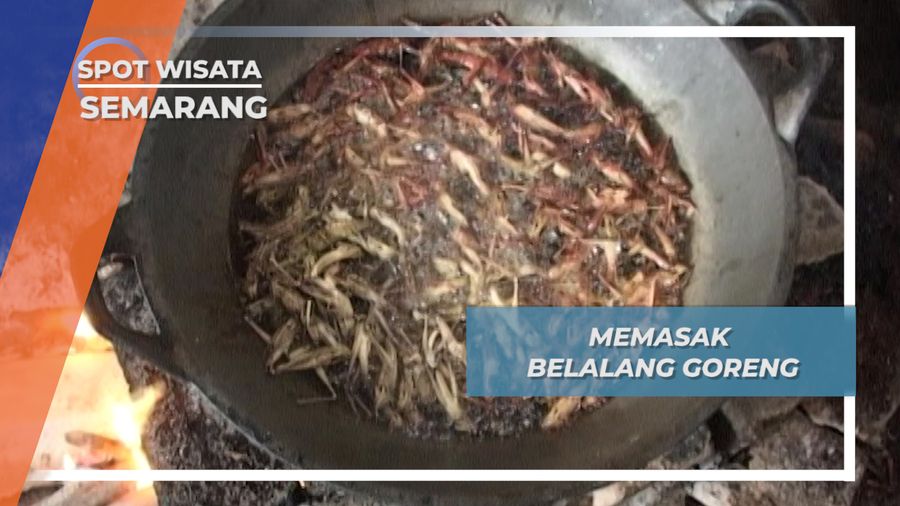 Cara Membuat Belalang Goreng Ungaran Semarang