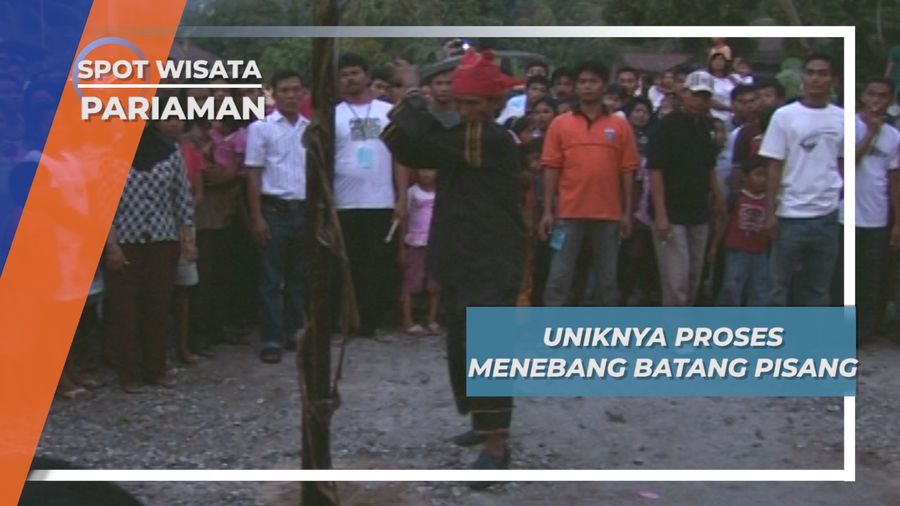 Batang Pisang, Bahan Dasar Pembuatan Tabuik Pariaman yang Penuh Makna