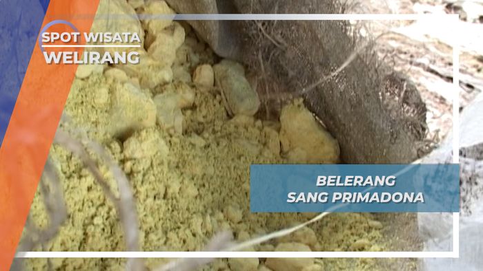 Belerang Sang Primadona, Welirang