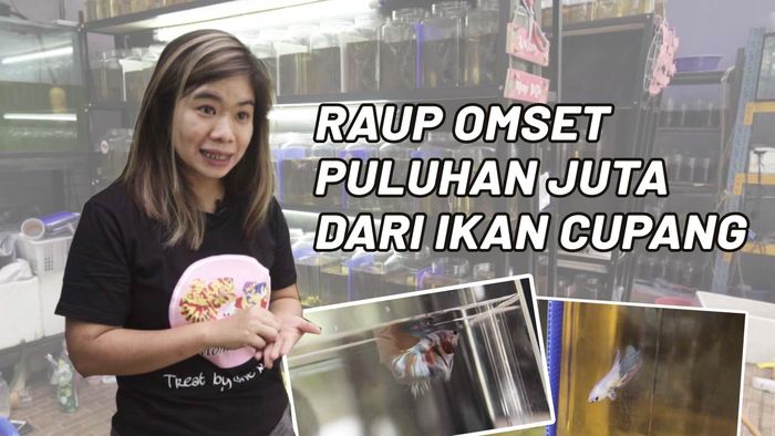 Mama Muda Raih Cuan dari Cupang