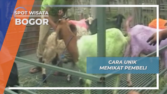 Cara Unik Memikat Pembeli, Bogor