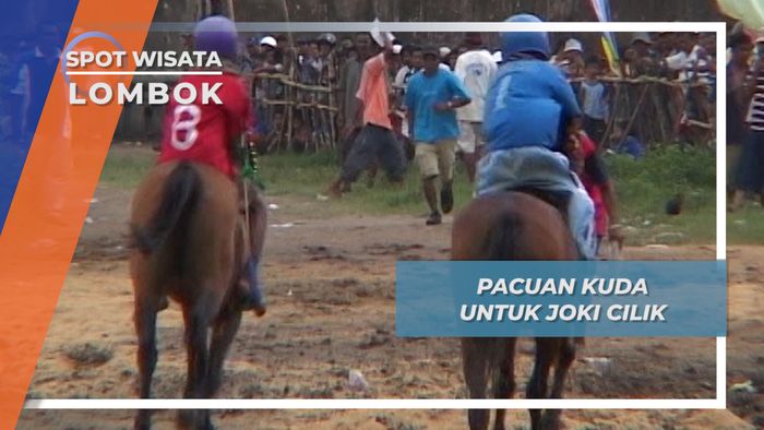 Pacuan Kuda untuk Joki Cilik, Lombok