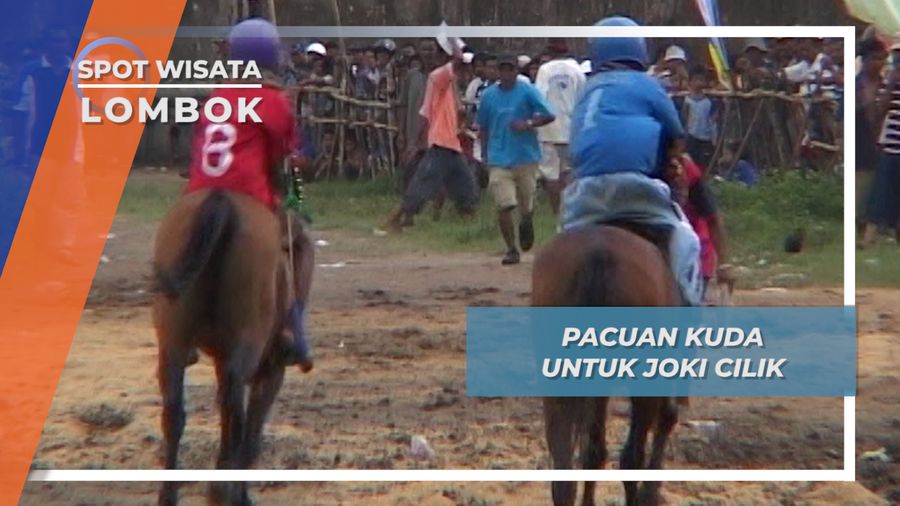 Pacuan Kuda untuk Joki Cilik, Lombok