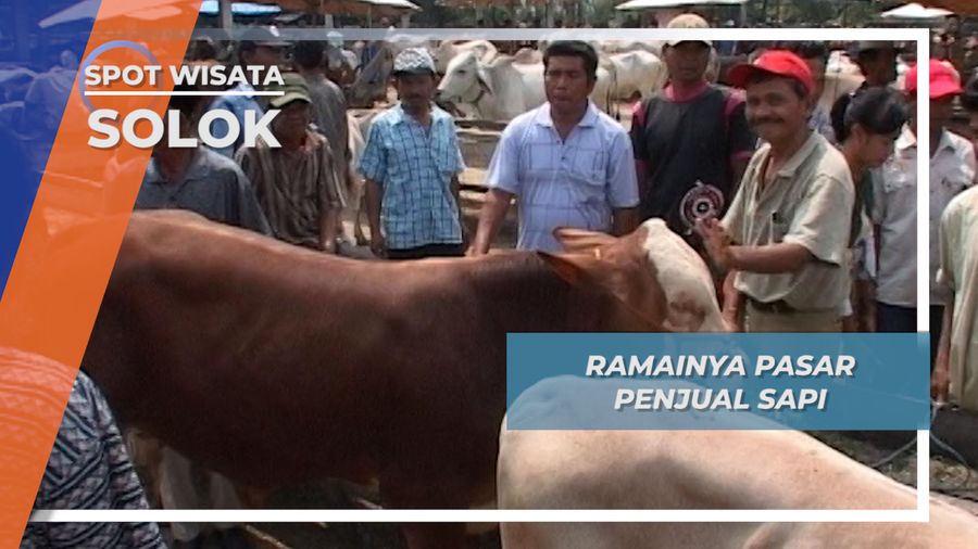  Ramainya Pasar Penjual Sapi, Solok