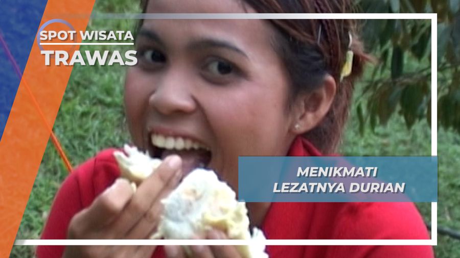 Menikmati Lezatnya Durian, Trawas