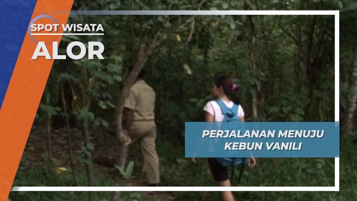 Perjalanan Menuju Kebun Vanili, Alor