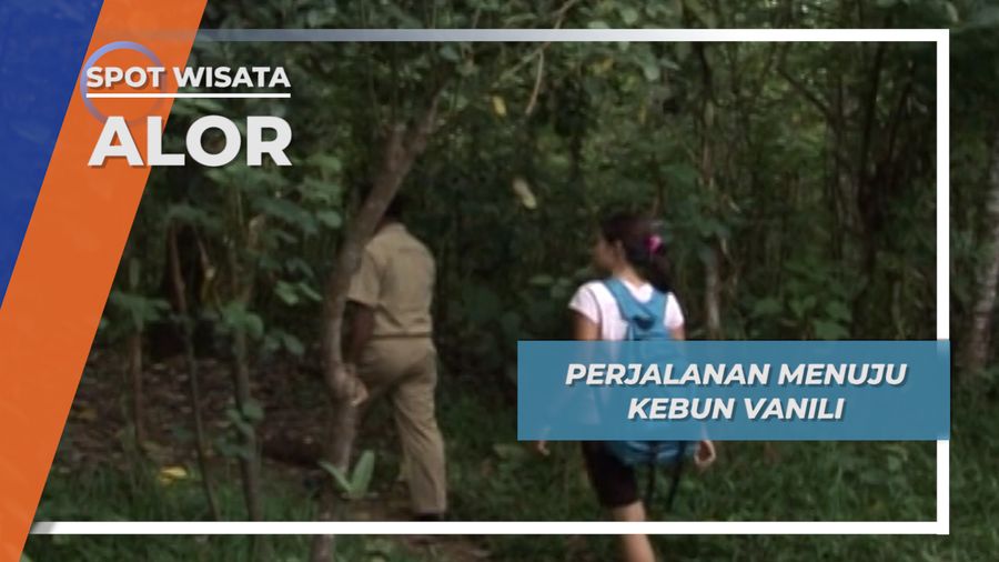 Perjalanan Menuju Kebun Vanili, Alor