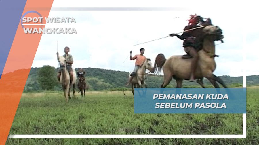Pemanasan Kuda Sebelum Pasola, Wanokaka