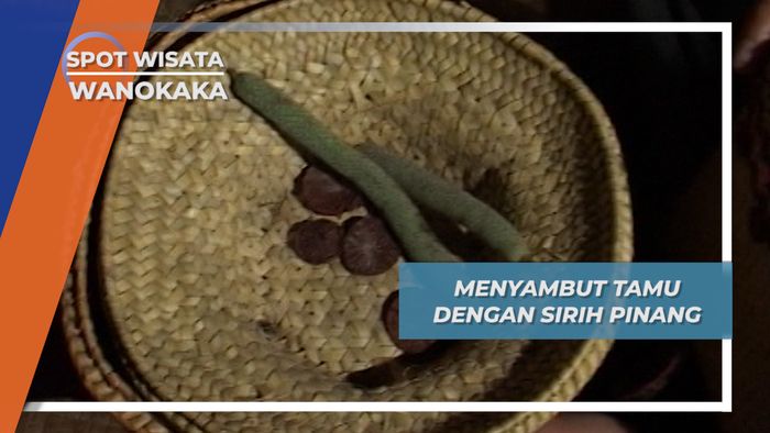 Menyambut Tamu dengan Sirih Pinang, Wanokaka
