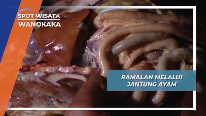 Ramalan Melalui Jantung Ayam, Wanokaka