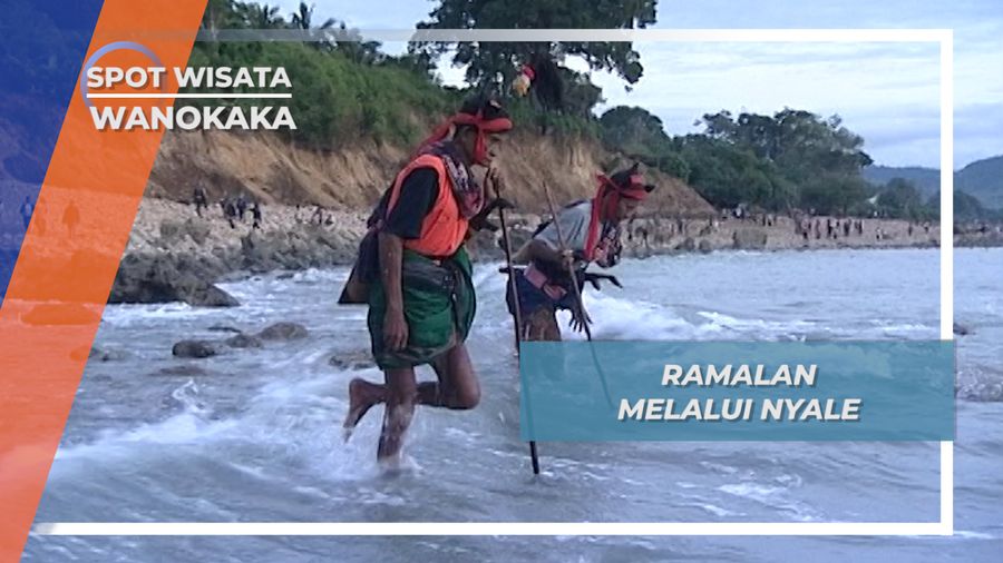 Meramal Kondisi Pertanian Melalui Nyale, Wanokaka