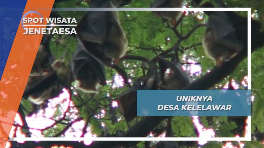 Kisah Desa Kelelawar, Jenetaesa