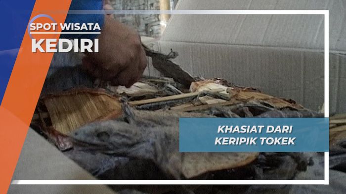 Khasiat dari Keripik Tokek, Kediri